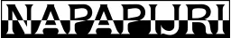 Napapijri logo