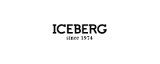 Iceberg logo