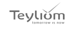 TEYLI logo