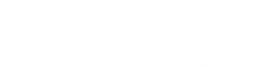 Big Star Shoes logo